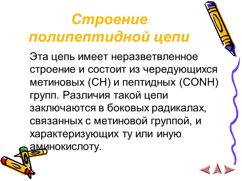 Строение полипептидной цепи  Эта цепь имеет неразветвленное строение и состоит из чередующихся метиновых